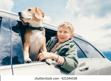 Boy And Dog Look Out From Car Window