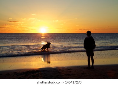 Boy And Dog On Beach At Sunset