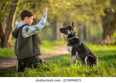 boy with a dog walks in the park on a sunny spring evening, sits on the grass, the dog obeys the order give a paw. Friendship of man and animal, healthy lifestyle.