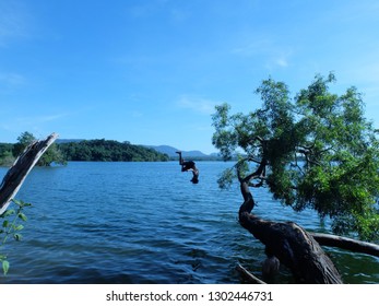 A Boy Doing Back Flip On The Lake