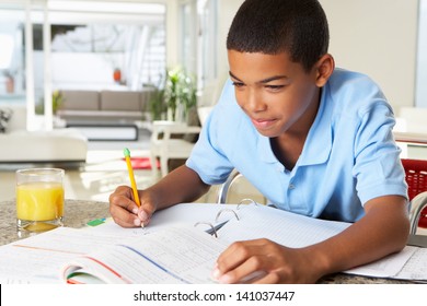 Boy Doing Homework In Kitchen