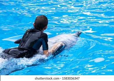 A boy with a dolphin. Treatment of children by means of dolphins. Dolphin therapy. Concept People and dolphins