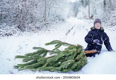 612 Drag christmas tree Images, Stock Photos & Vectors | Shutterstock