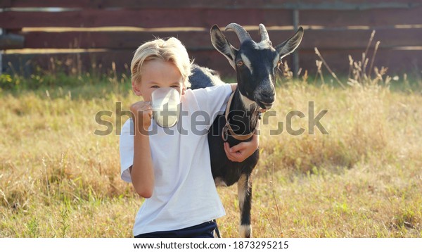 The boy drinks goat milk from a mug and hugs his\
beloved goat.