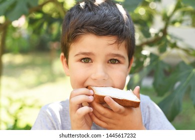 9,101 Boy Eating Cheese Images, Stock Photos & Vectors 