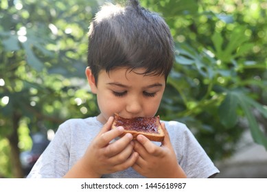 Boy Eating Bread Jam Toast Child Stock Photo 1445618987 | Shutterstock