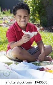 Boy Eating Sandwich At Picnic