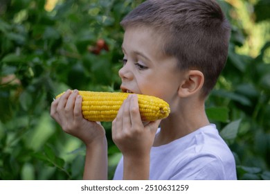 a boy eats corn. Selective focus.