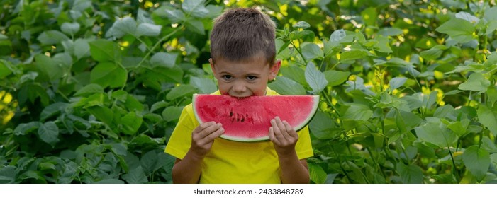 boy eats watermelon in summer - Powered by Shutterstock