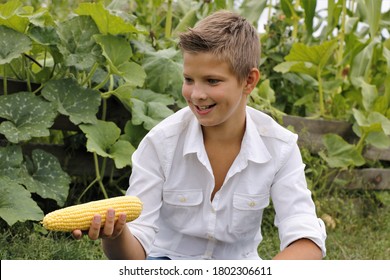 Boy emotions eats corn in summer outdoors