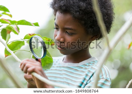 Boy exploring nature through magnifying glass outdoor. Education, field trips, researcher and discovery concept