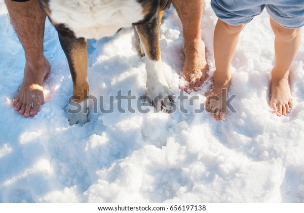 dogs feet in snow