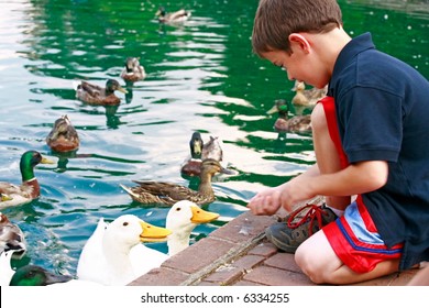 Boy Feeding Ducks