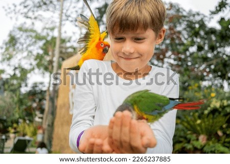 Boy is feeding hand birds colored parrots with grain. Outdoor. Spending time together