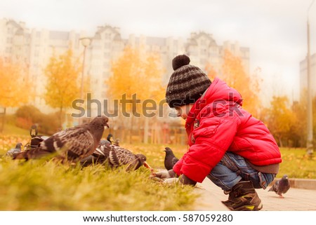  Boy feeding pigeons in the park. happy kid outdoor