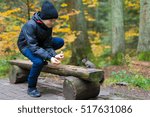 The boy feeds a squirrel with nutlets from a hand in the wood