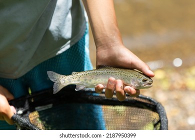 Boy Fishing Holding Rainbow Trout