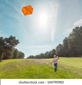 Boy flying kite in the woods