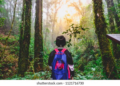 
Boy in the forest