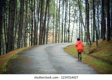 boy in forest