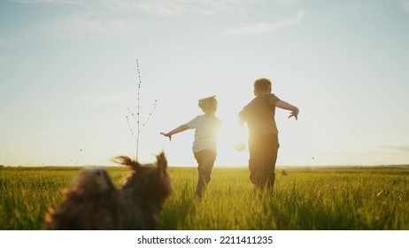 boy girl and dog a running in the park. happy family kid dream holiday concept. children hold hands brother sister run across the field silhouette summer in the park. sun kids run - Shutterstock ID 2211411235