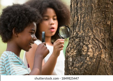 Boy and girl examining the tree stem through magnifying glass. Group of African American children exploring nature on the tree with magnifying glass. Education and discovery concept
