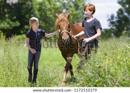 Image, Stock Photo Brown horse walking on a green field in cloudy weather