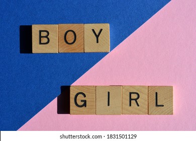 Boy, Girl, Words Isolated On Blue And Pink, Gender Stereotypes