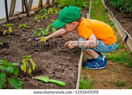 The boy in the greenhouse looks after the garden