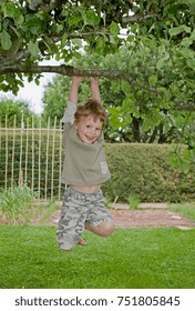 boy hanging from tree
