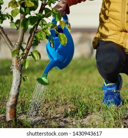 Boy Helping His Parents Water Trees Stock Photo 1430943617 | Shutterstock