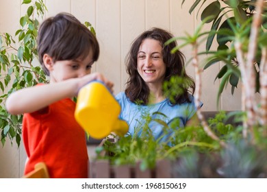 Boy helps mom take care of house plants, child watering flowers, woman teaches son to take care of plants, mother's day - Powered by Shutterstock