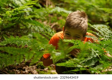 The boy is hiding in the forest behind a fern bush. A game of hide and seek. A fun vacation in a forest camp - Powered by Shutterstock