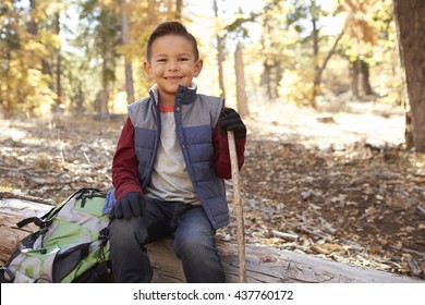 Boy Hiking Forest Sits On Fallen Stock Photo 437760172 | Shutterstock