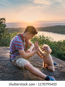 A Boy And His Dog Doing A Hi Five At The Top Of An Overlook They Hiked