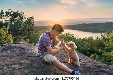 A Boy And His Dog Doing A Hi Five At The Top Of An Overlook They Hiked