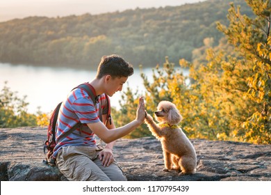 A Boy And His Dog Doing A Hi Five At The Top Of An Overlook They Hiked