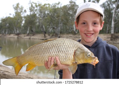 Boy Holding A Big Carp Fish