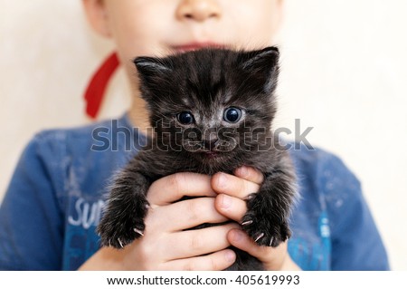 Boy holding cat, little black kitten portrait in kid hands