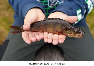 A Boy Holding A Fish In His Hands.