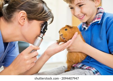 Boy Holding Guinea Pig In Vet Examination