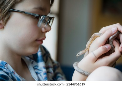 Boy holding his pet corn snake - profile