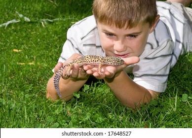 Boy Holding His Pet Gecko Lizard