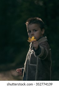 boy holding leaf