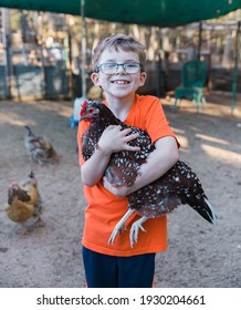 Boy Holding Pet Chicken In Backyard Coop