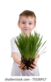 Boy holds a  plant on a white background