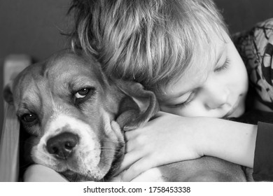 boy hugs his friend beagle dog in a dream