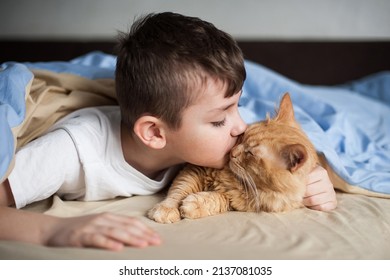 The Boy Hugs A Red Cat On A Bed Under A Blanket