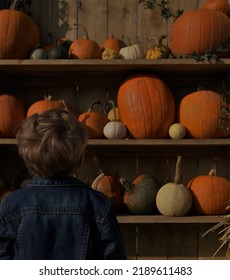 Boy In Jean Jacket At The Pumpkin Patch