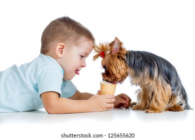 Boy Kid Feeding Dog Isolated On White Background